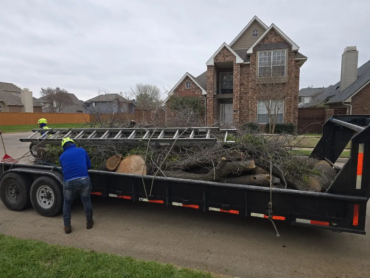 Expert Tree Pest Control with proper safety equipment in Rosholt